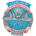 Lt Raja Virendra Bahadur Singh Government College, Saraipali