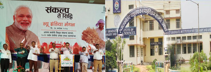 Post Graduate Institute Of Veterinary and Animal Sciences, Akola Image