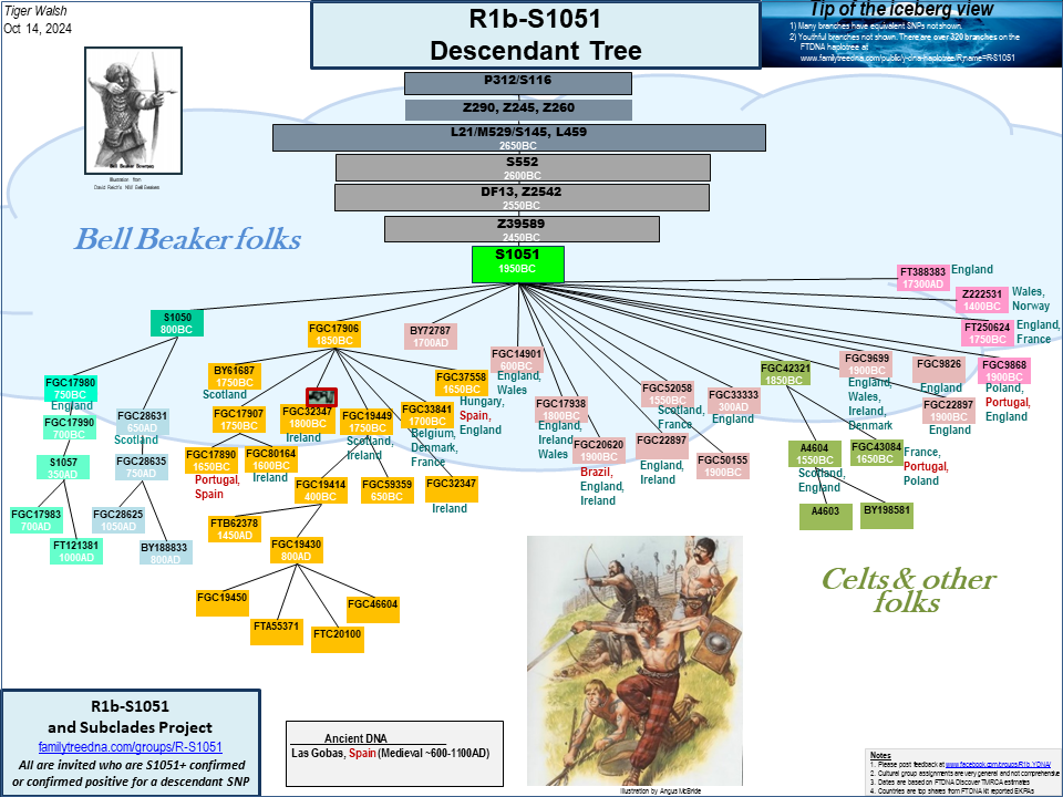 R L21, Z290 And Subclades - Results - FamilyTreeDNA