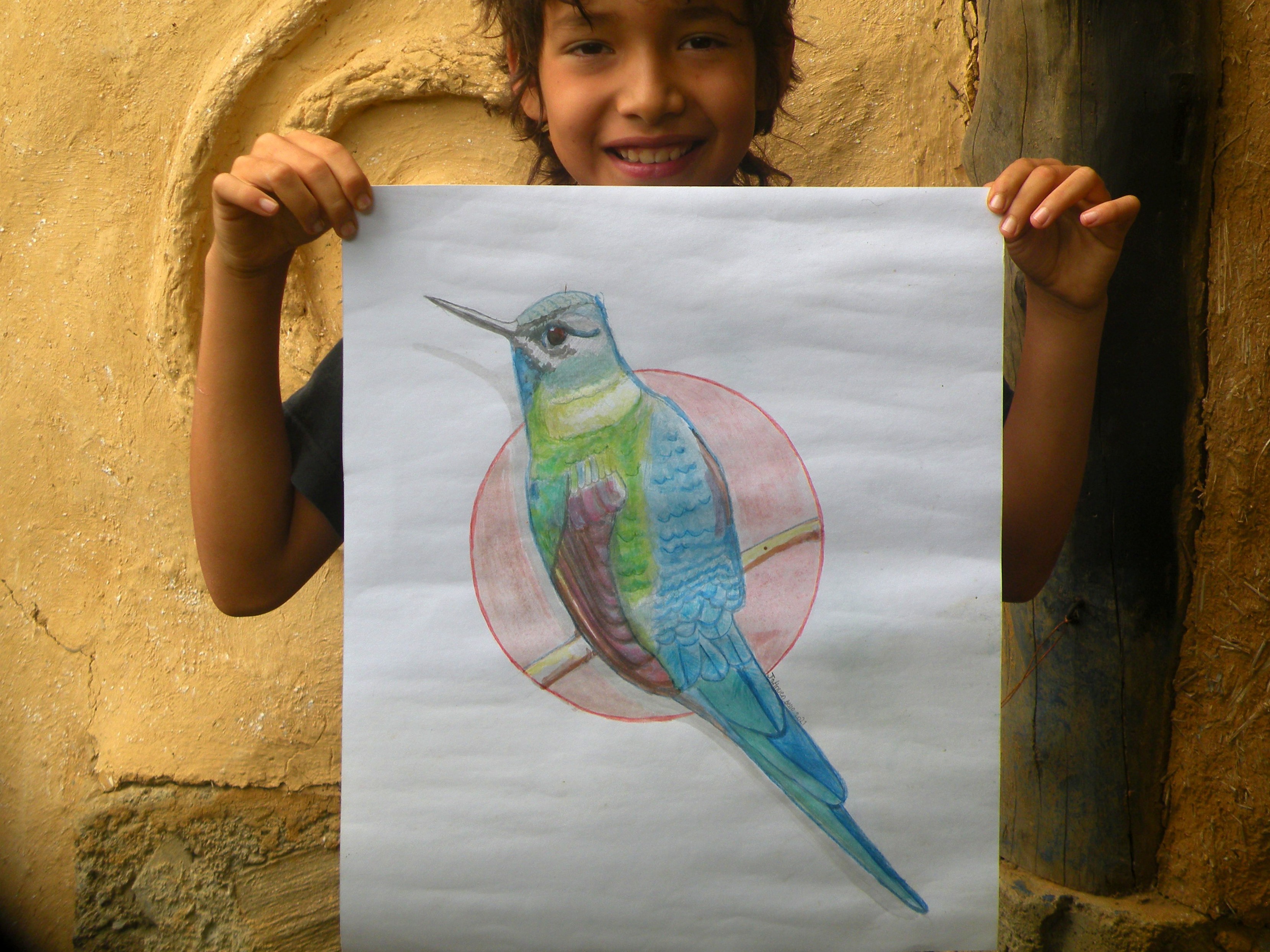 Ganadores Dibuja las Aves del Caribe Venezolano