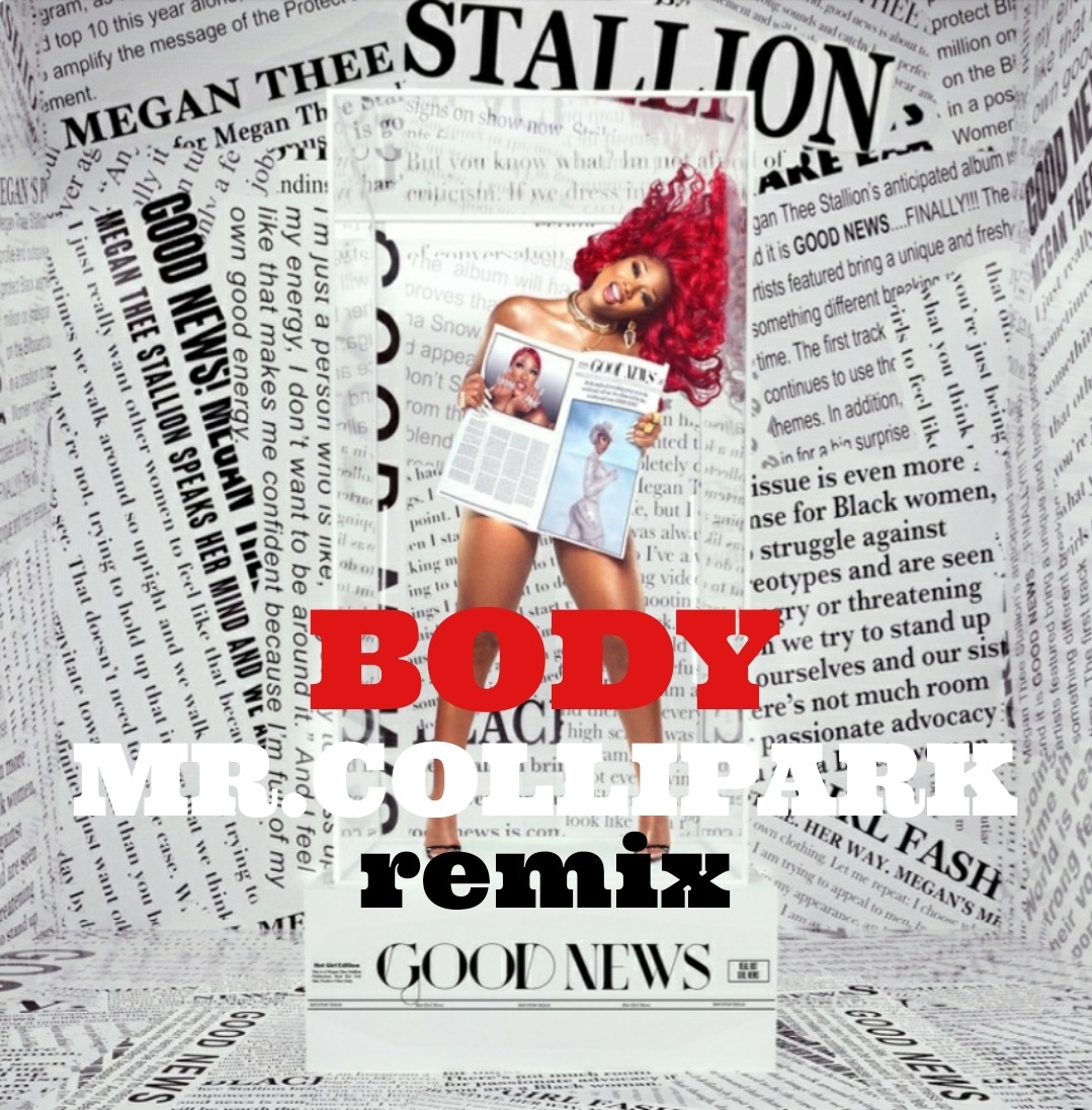 Megan Thee Stallion - Body (MR. COLLIPARK Remix)