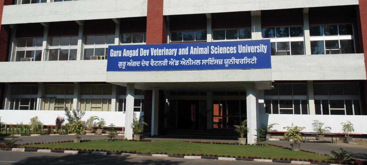 Guru Angad Dev Veterinary and Animal Sciences University, Ludhiana Image