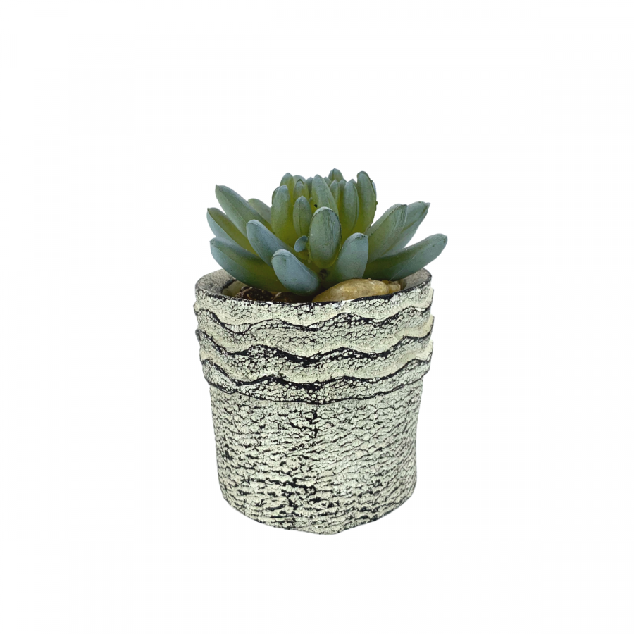 Suculenta artificial + maceta pachypythum, verde, 12cm
