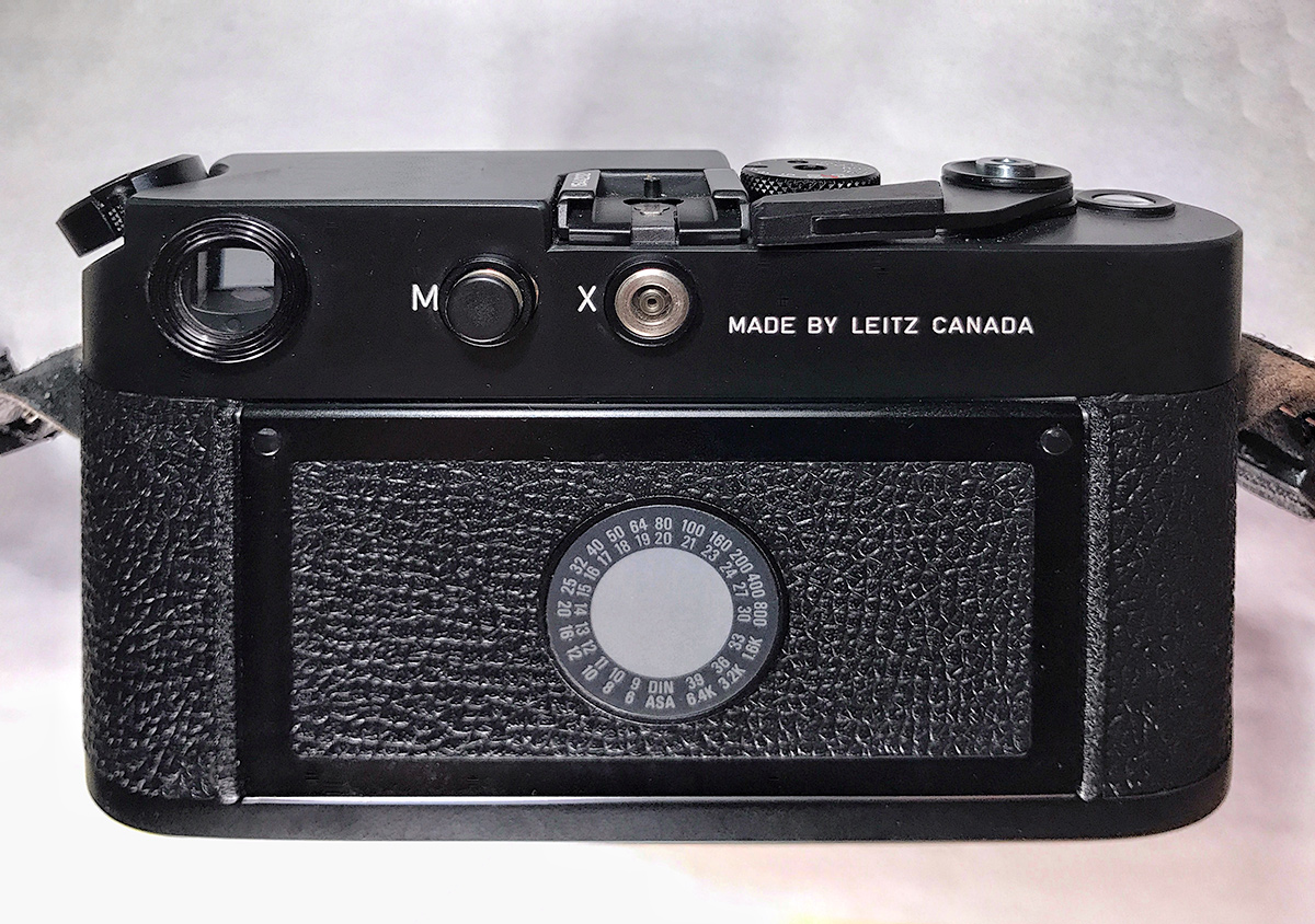 backofleica.jpg