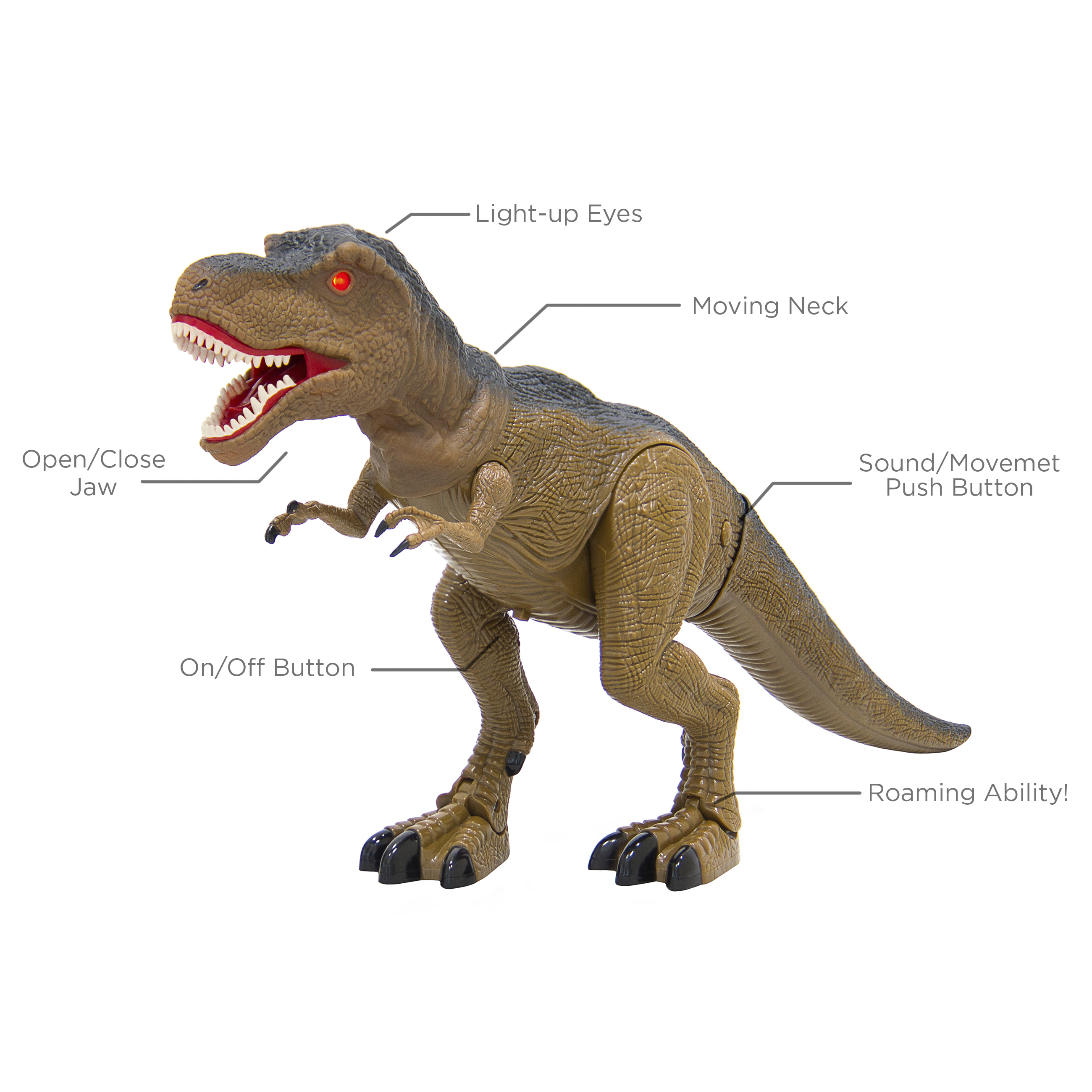 rc t rex