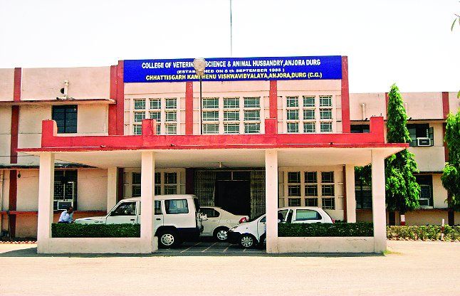 College of Veterinary Science and Animal Husbandry Image