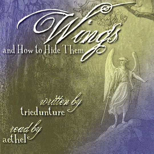 Wings and How to Hide Them [Podfic] - aethel - Good Omens (TV) [Archive ...