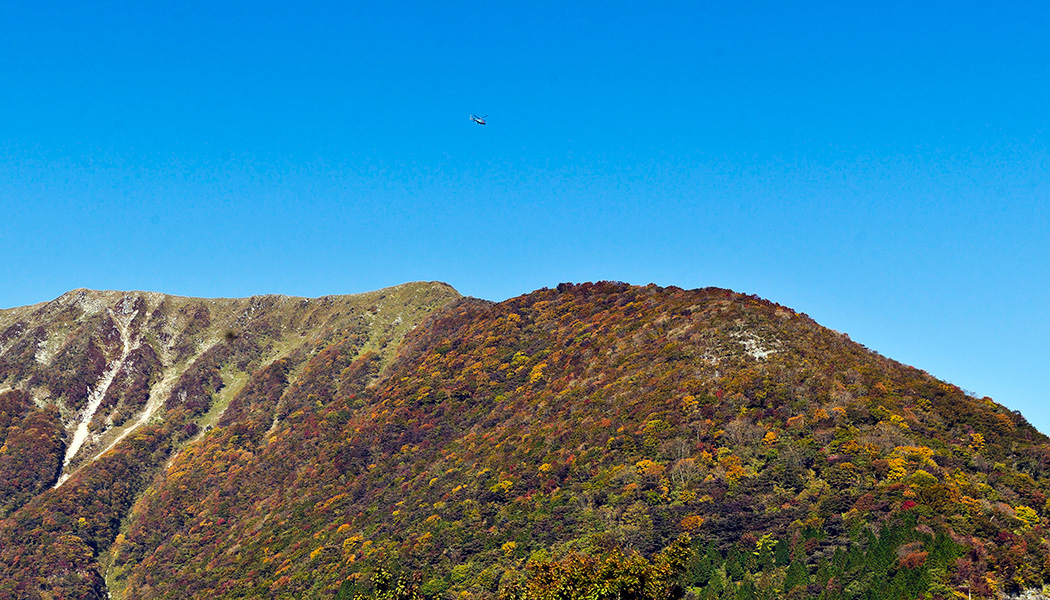 紅葉(山)