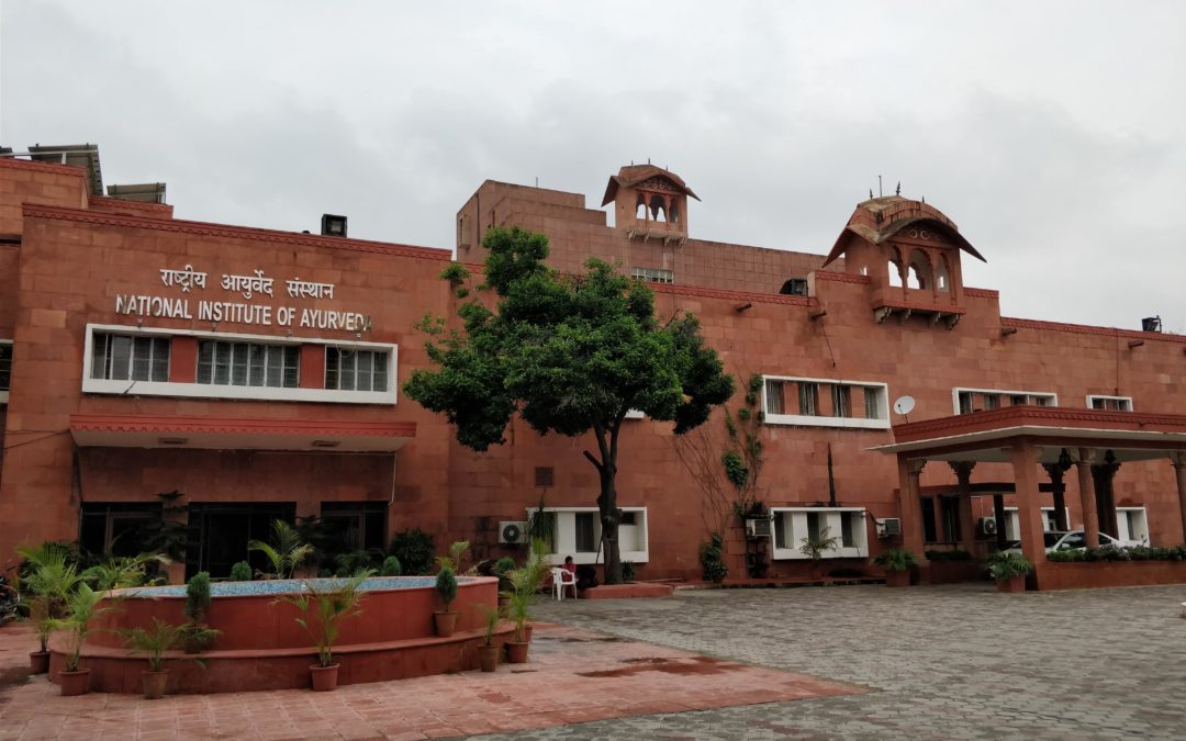 National Institute of Ayurveda, Jaipur Image