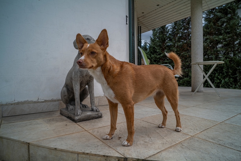 TTArtisan M 21mm F1.5 ASPH Panasonic Lumix S1R