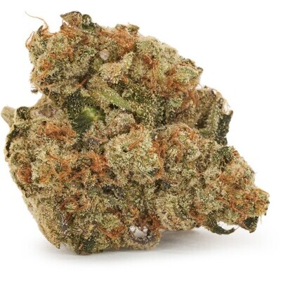 West Coast Gorilla