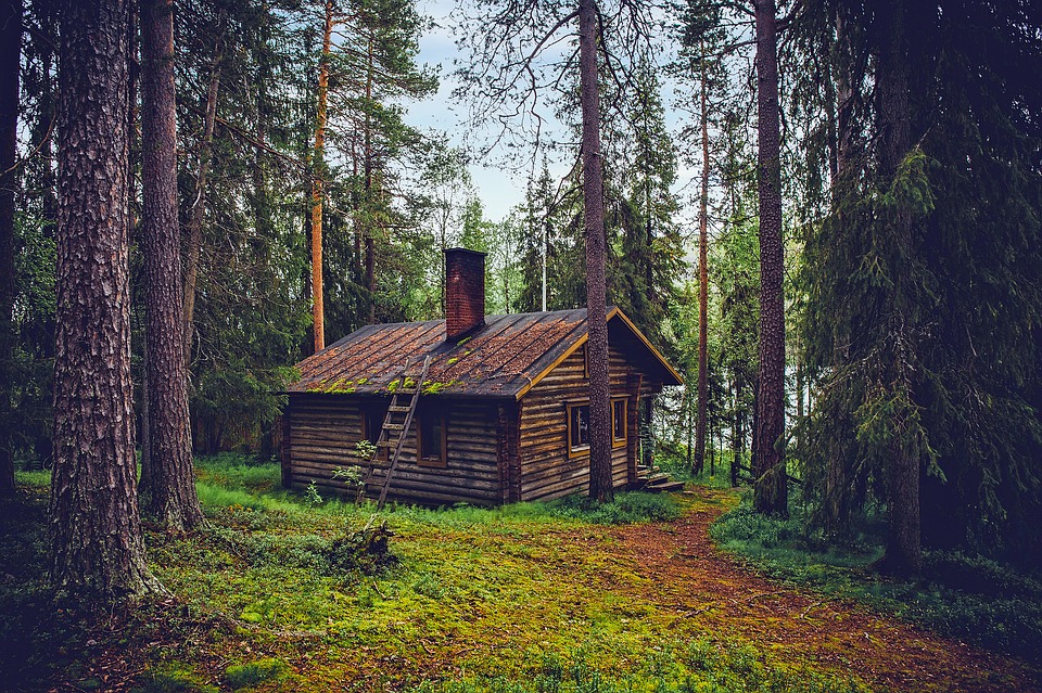 Log cabin