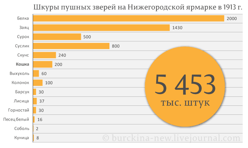 Разбор эпизода с кошками на польты рабочим в фильме Собачье сердце 