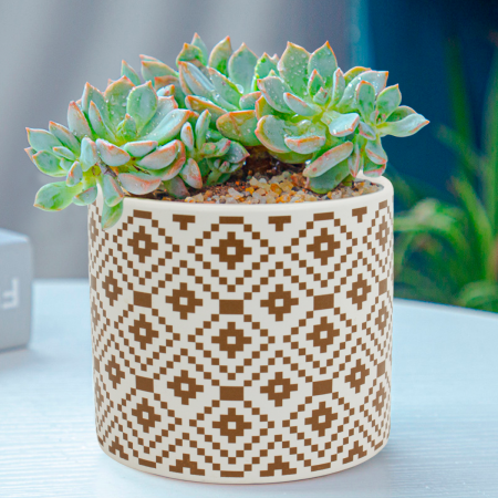 Maceta decorativa 11xØ11.5cm, cerámica