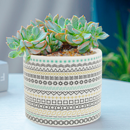 Maceta decorativa 11xØ11.5cm, cerámica