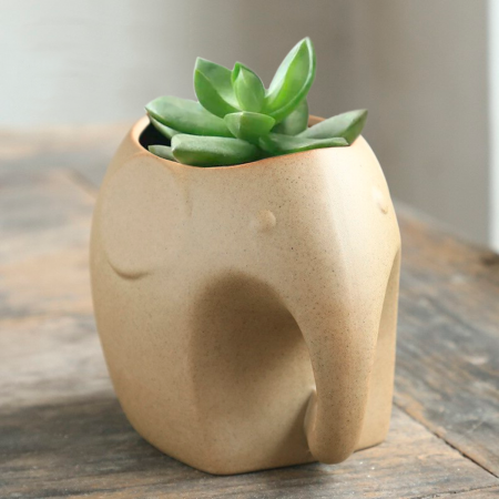 Maceta de resina elefante, 9cm