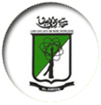 AL-AMEEN INSTITUTE OF MANAGEMENT STUDIES