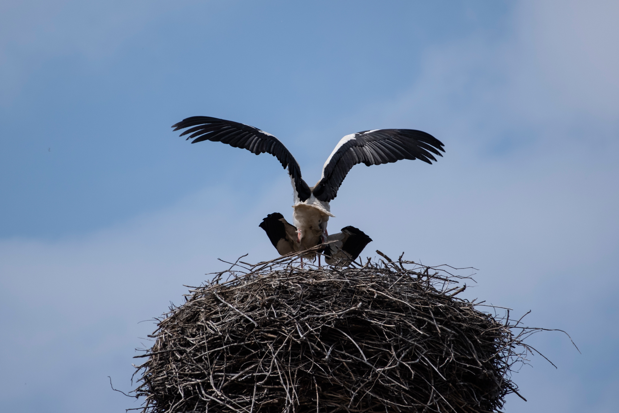 Tamron 18-300mm F3.5-6.3 DI III-A VC VXD + Fujifilm X-S10 - Ewelina Krzosek
