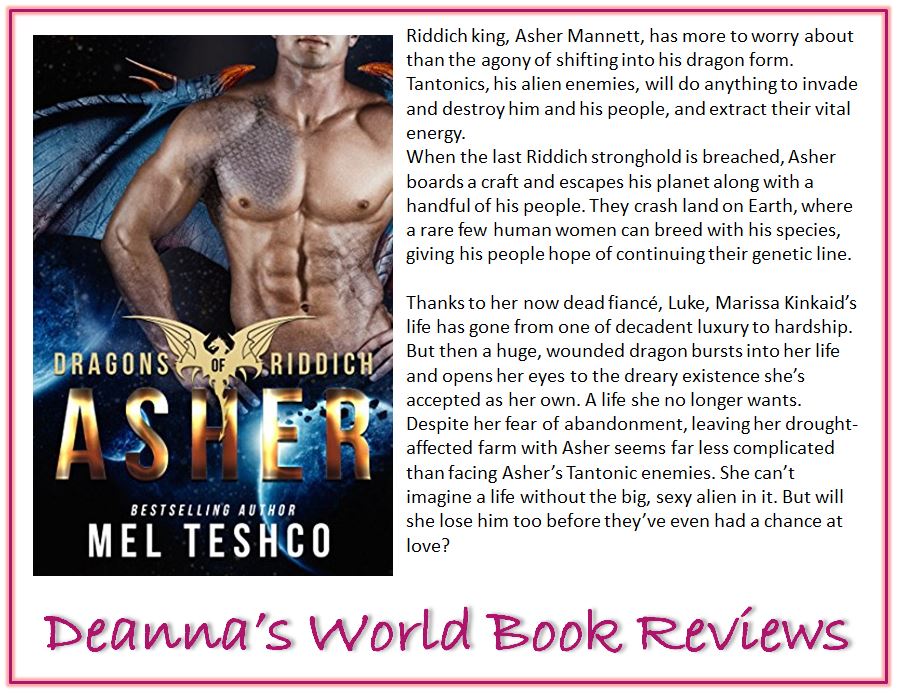 Asher by Mel Teshco blurb