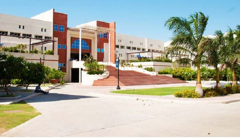 INDORE INSTITUTE OF MANAGEMENT AND RESEARCH, Indore Image