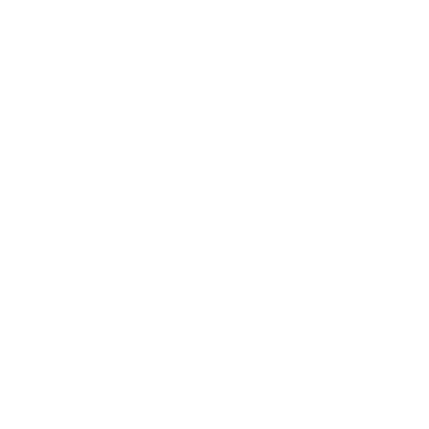 Solution Travel