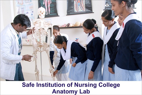 Safe School Of Nrusing Image