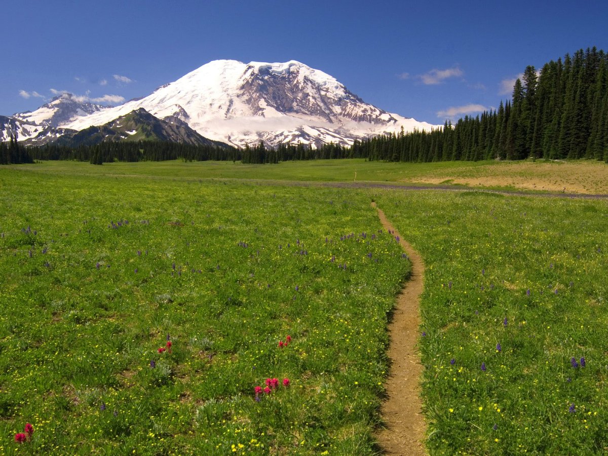mountain-trails