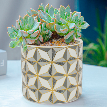 Maceta decorativa 11.5xØ12.5cm, cerámica