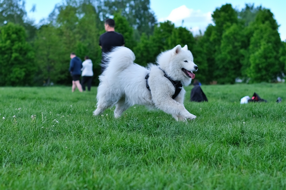 Sigma 30mm F1.4 DC DN na Fujifilm X-T3: zdjęcia przykładowe