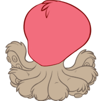 Head.png
