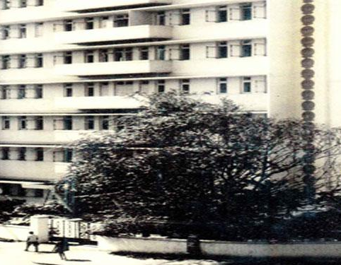 College of Social Work Nirmala Niketan, Mumbai Image
