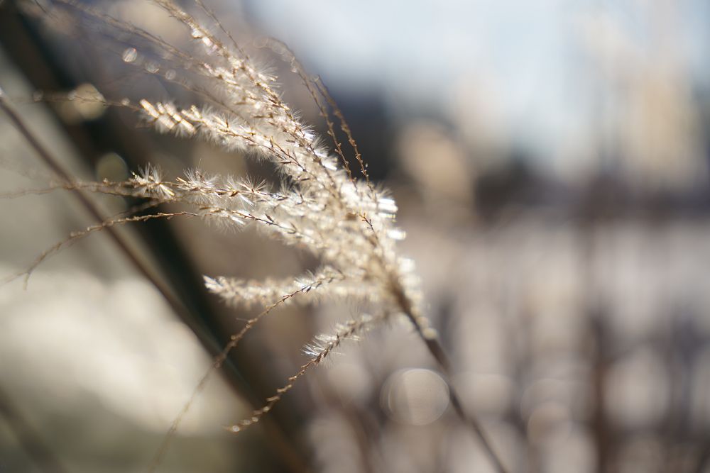 Samyang AF 24-70mm F2.8 FE, Sigma 24-70mm DG DN ART, Sony FE 24-70mm F2.8 GM - starcie tytanów