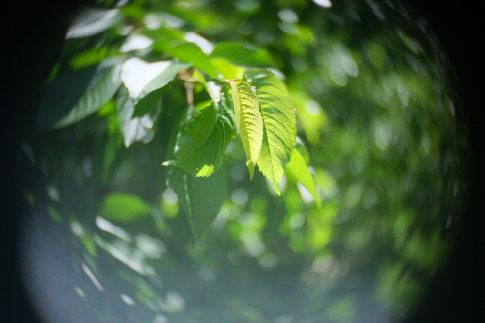 TV Lens 25mm F1.4 Fujifilm X-T3