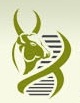 National Institute of Animal Biotechnology, Hyderabad