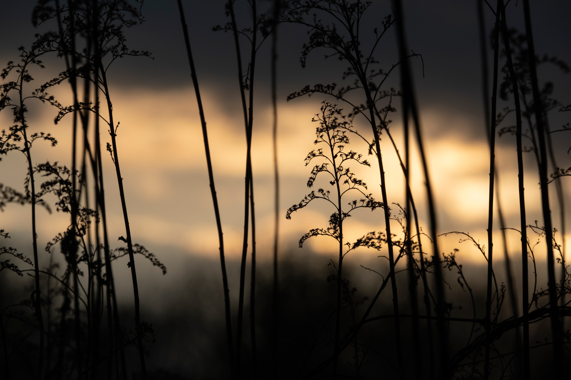 Tamron 18-300mm F3.5-6.3 DI III-A VC VXD + Fujifilm X-S10 - Ewelina Krzosek