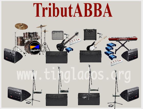 banda tributo abba plano de escena tinglados management