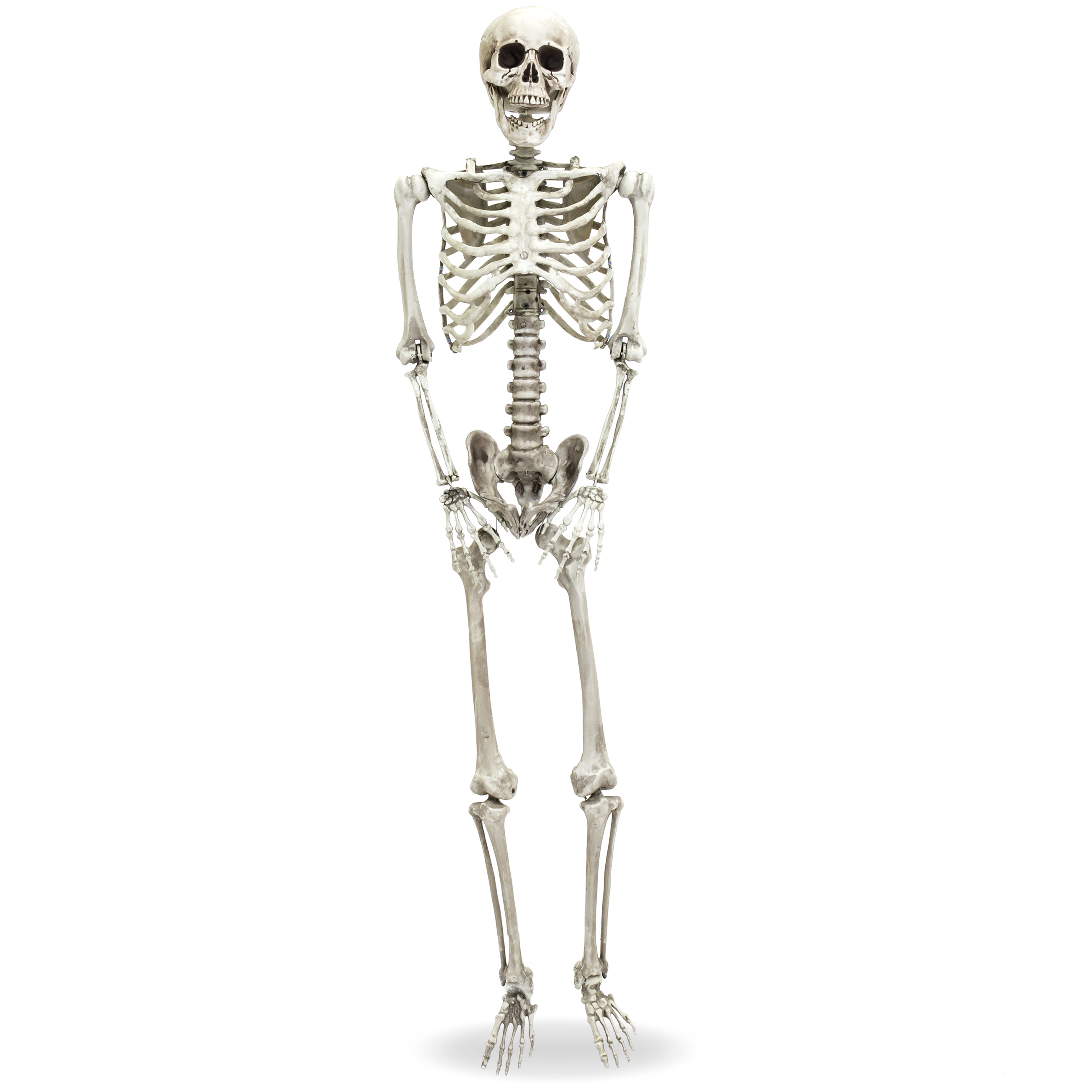 BCP 5ft Full Body Poseable Skeleton Halloween Decor w/ Movable Joints ...