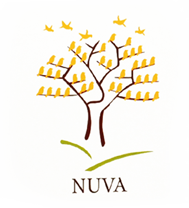 Nuva College Of Engineering And Technology, Nagpur