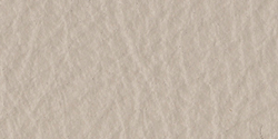 1921515 Stone