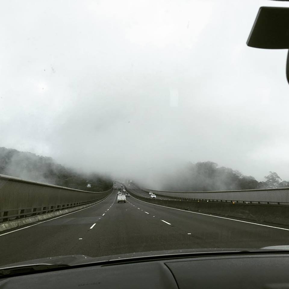 Foggy driving conditions