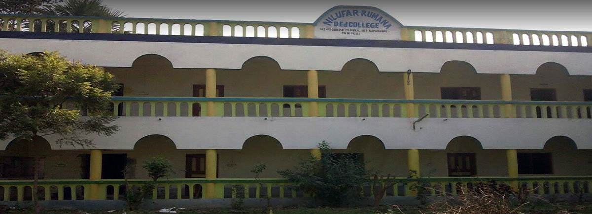 Nilufar rumana d.Ed college, Murshidabad Image