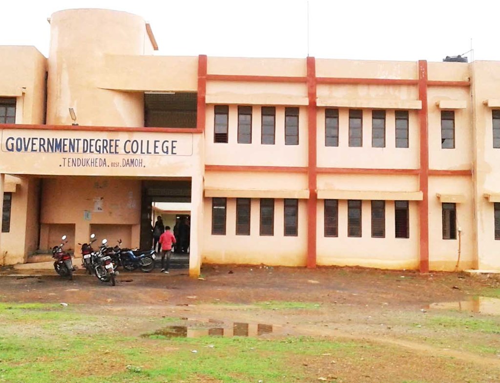 Government Arts College, Tendukheda Image
