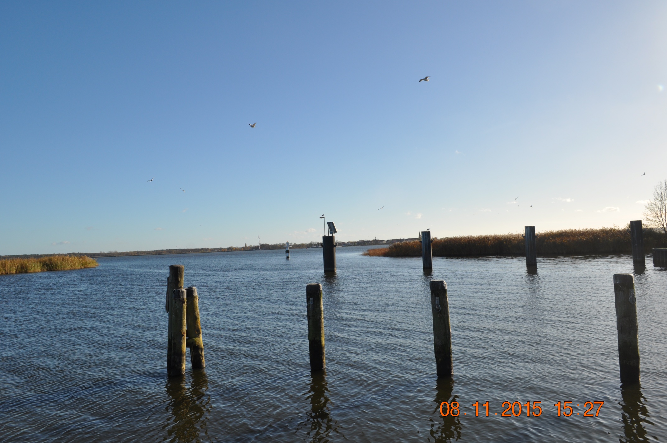 resize_2015-11-08%2015.27.09.jpg