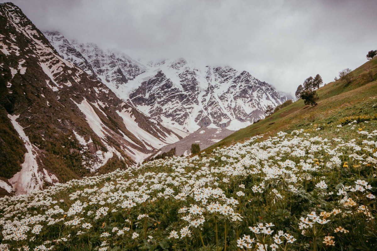 mountain-elbrus