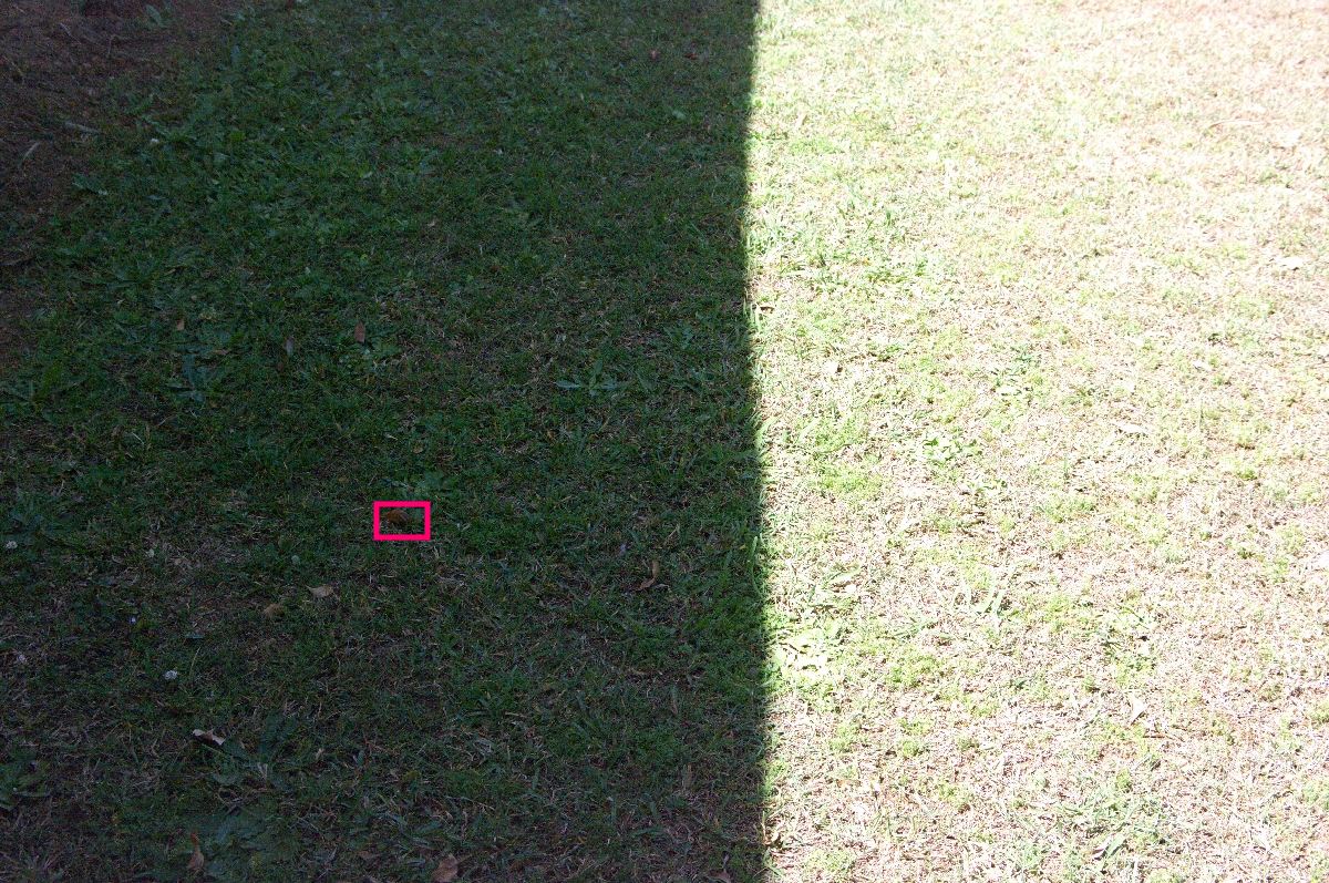 imgp7772_highlighted.jpg