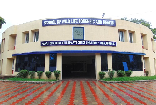 School of Wildlife Forensic and Health, NDVSU, Jabalpur Image