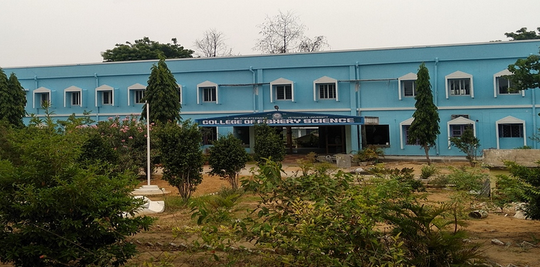 College of Fishery Science, Muthukur Image
