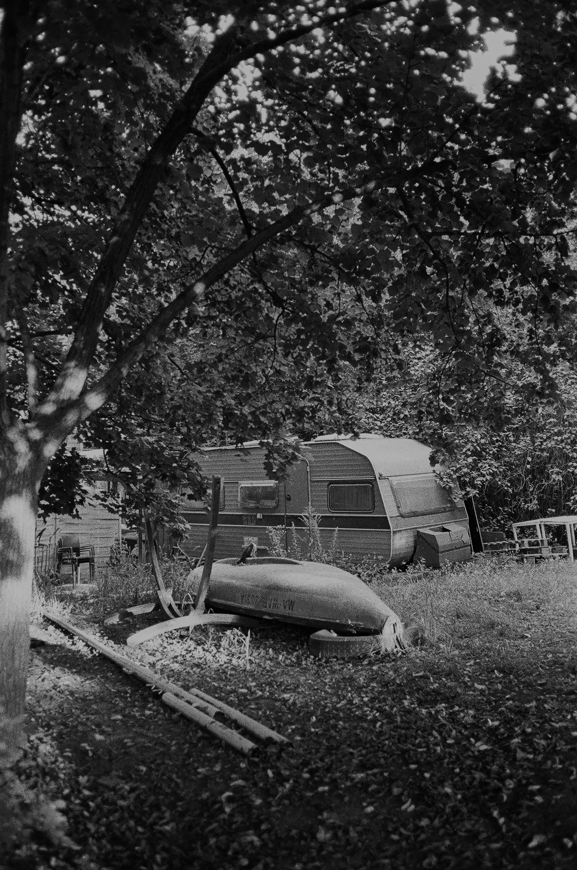 Spacer z małpami - Contax T2 i T3