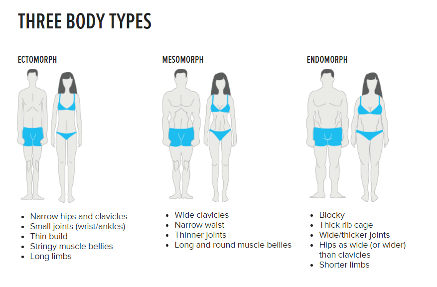 What is your body type? 