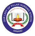 Our Lady Of Pillar Nursing School